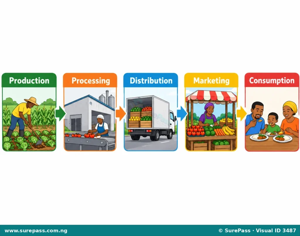 Diagram showing the agricultural value chain with stages from production to consumption.