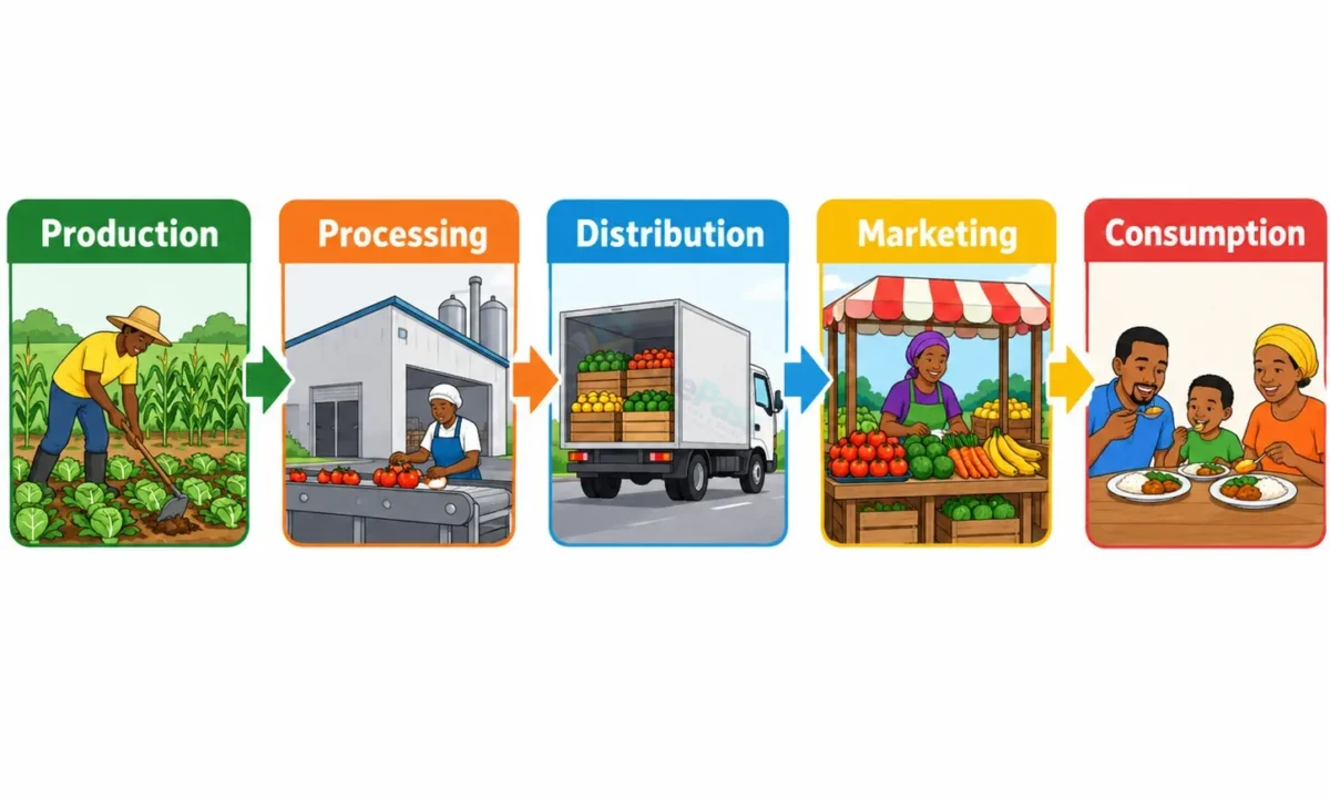 Actors, Stages and Roles in the Agricultural Value Chain for SS 1