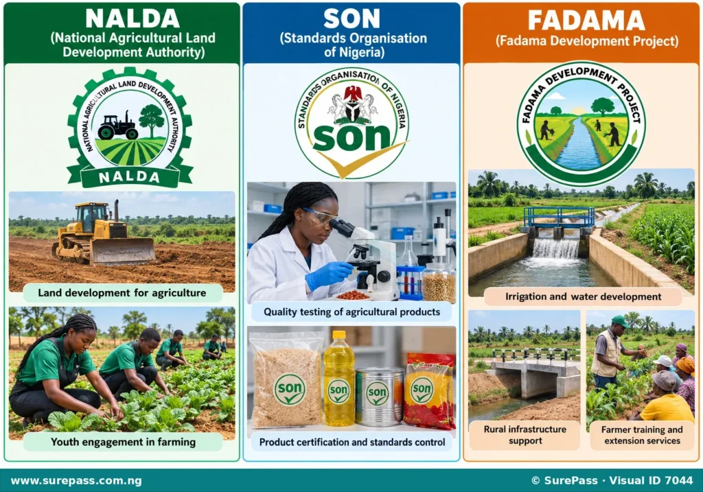 Infographic showing logos and activities of NALDA, SON, and FADAMA, representing Nigerian governmental agricultural agencies.