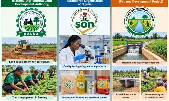 Agricultural Agencies in Nigeria and Their Functions for SS 1