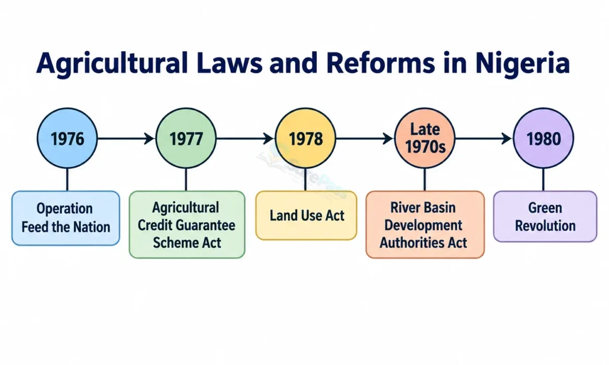 Agricultural Laws, Reforms and Land Ownership in Nigeria for SS 1