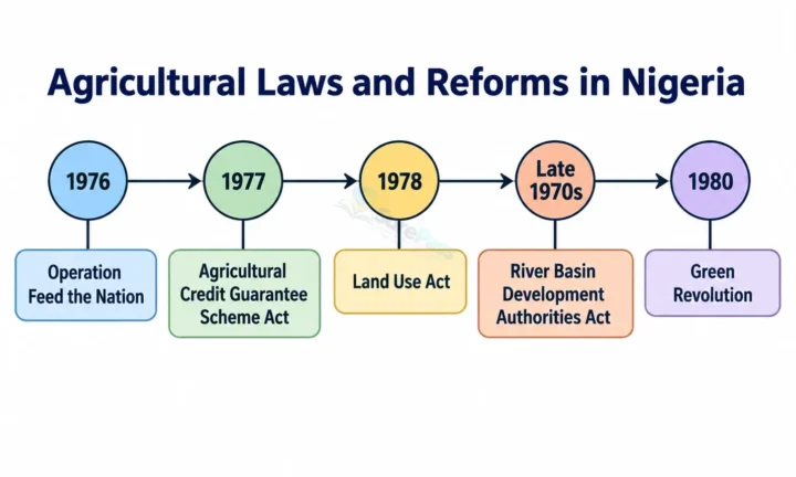 Agricultural Laws, Reforms and Land Ownership in Nigeria for SS 1