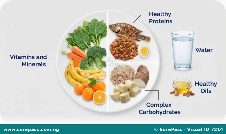 A balanced diet plate showing the correct proportions of food classes.
