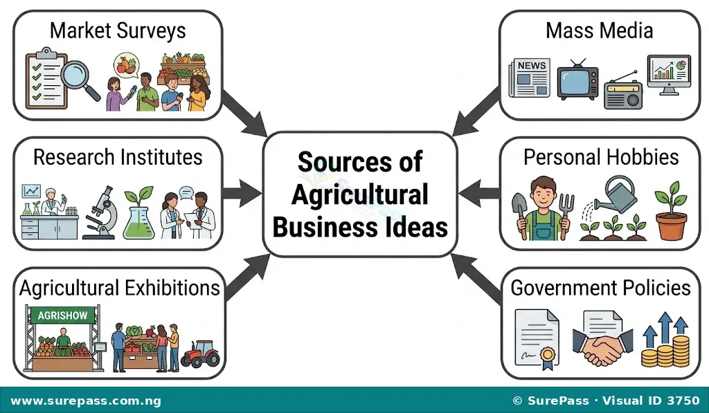 A diagram showing the various sources of agricultural business ideas.
