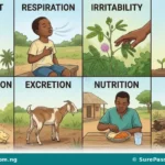 Characteristics of Living Things and Plant-Animal Differences for SS 1