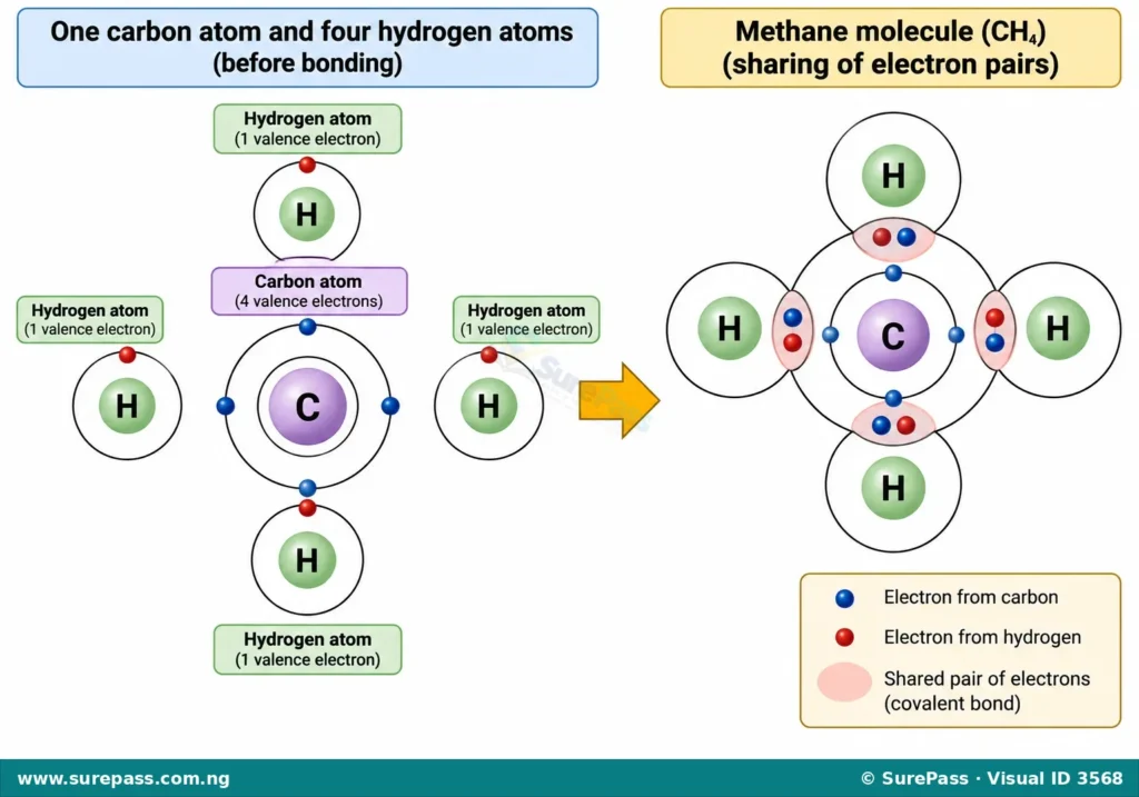 Diagram showing the sharing of electron pairs between a carbon atom and four hydrogen atoms to form methane.