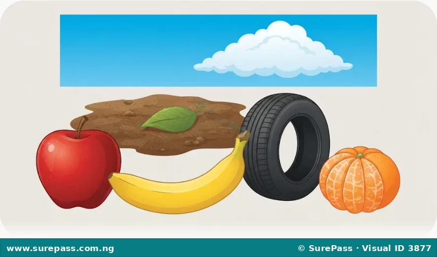 A collection of colourful objects including a red apple, green leaf, yellow banana, blue sky, white cloud, black car tyre, brown soil, and an orange fruit.