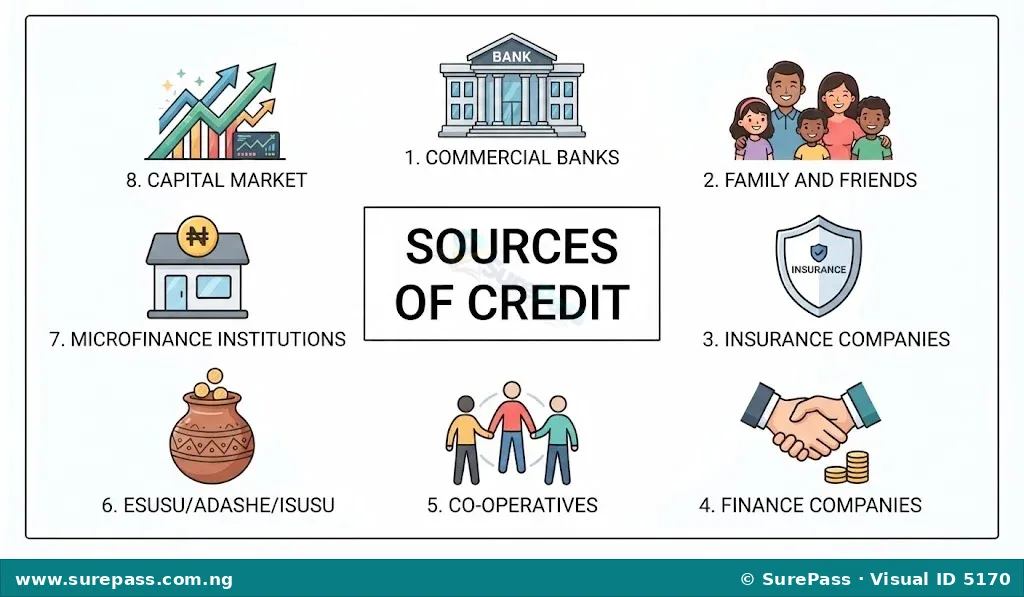 Diagram showing various sources of credit including banks, family and friends, insurance companies, finance companies, co-operatives, Esusu/Adashe/Isusu, microfinance institutions, and the capital market.