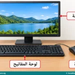 Computer Parts, Keyboard Functions and Arabic Typing for Primary 4