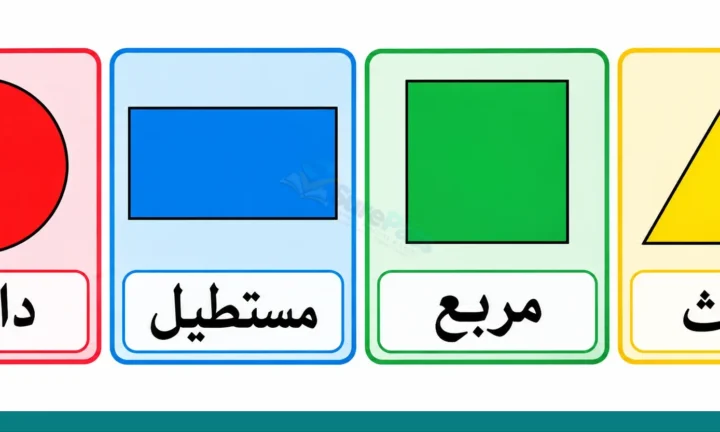 Arabic Sizes, Shapes, Colours, Days and Months for Primary 1