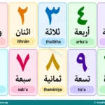 Arabic Numbers 1–50 and Number Pronunciation for Primary 1