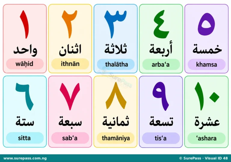 Arabic Numbers 1–50 and Number Pronunciation for Primary 1