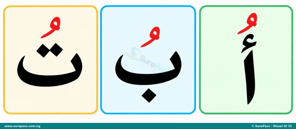 Arabic letters Alif, Ba, and Ta with Dammah vowel mark.