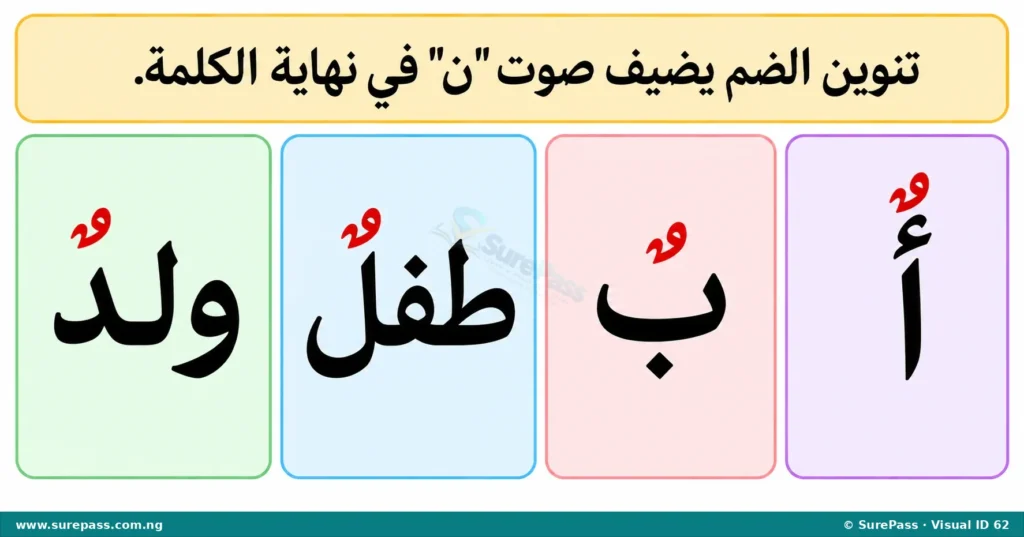 Arabic letters Alif and Ba with Dammatan, and words "tiflun" and "waladun" with Dammatan.