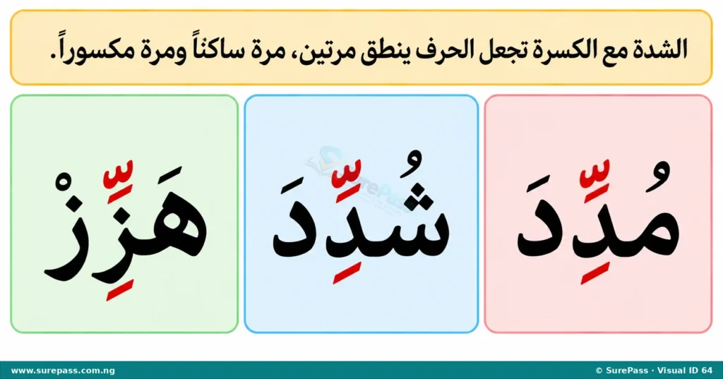 Arabic words "muddida", "shuddida", and "hazziz" showing Shaddah with Kasrah.