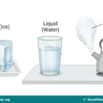 States of Water, Water Cycle and Rain Formation for Primary 4