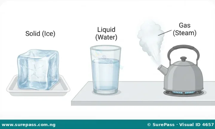 States of Water, Water Cycle and Rain Formation for Primary 4