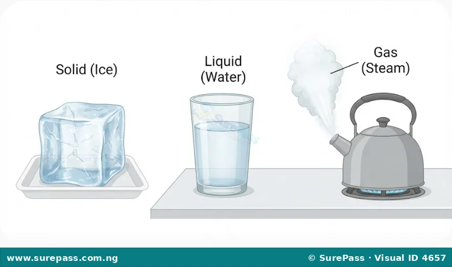 Illustration showing ice as solid water, liquid water in a glass, and steam rising from a kettle as gaseous water.