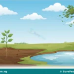 Air, Soil and Water in Our Surroundings for Primary 1