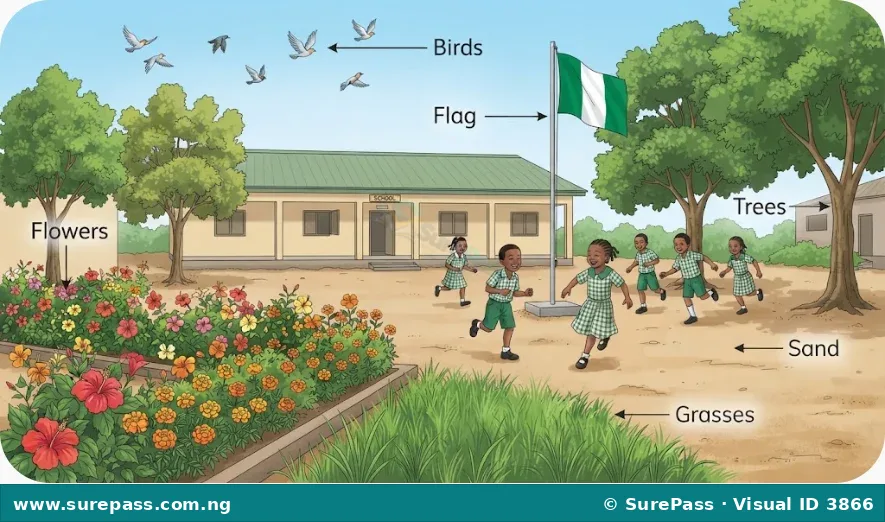 An illustration of a school compound with a Nigerian flag, flowers, trees, grass, birds, and sand.