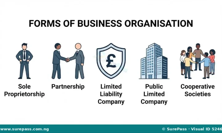 Forms, Advantages and Disadvantages of Business Organisations for JSS 1