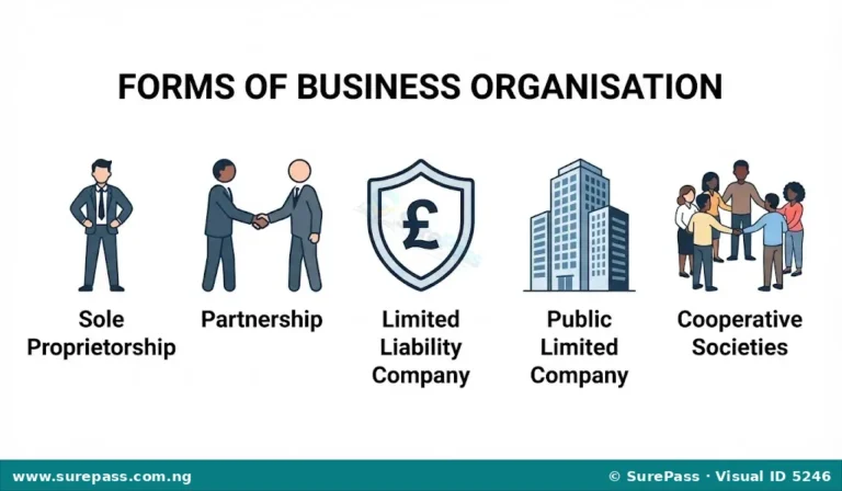 Forms, Advantages and Disadvantages of Business Organisations for JSS 1