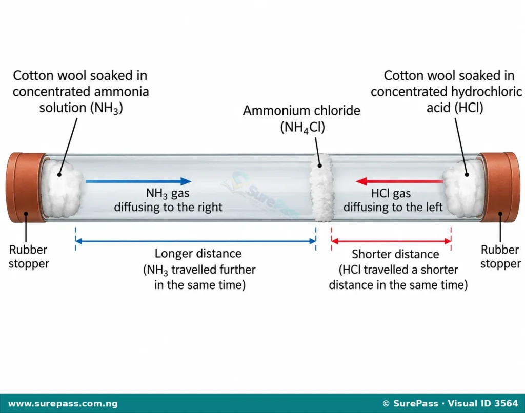 Experimental setup showing the diffusion of ammonia and hydrogen chloride gases in a glass tube, forming a white ring closer to the HCl end.