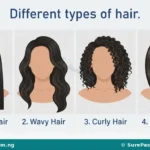 Hair Types, Scalp Conditions, Care Practices and Treatments for JSS 1