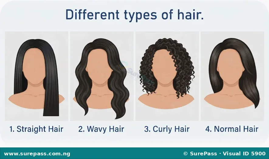 Four images showing different hair types: straight, wavy, curly, and normal.
