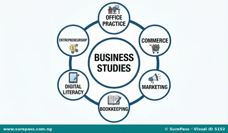 Meaning, Importance and Components of Business Studies for JSS 1