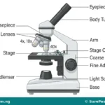 Laboratory Equipment, Functions, Use and Care for SS 1