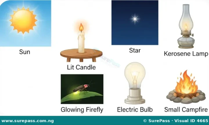 Sources, Uses and Reflection of Light Energy for Primary 4