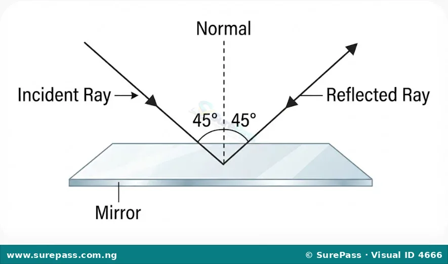 Diagram showing a light ray hitting a mirror and bouncing off. An incident ray hits the surface, and a reflected ray bounces away.