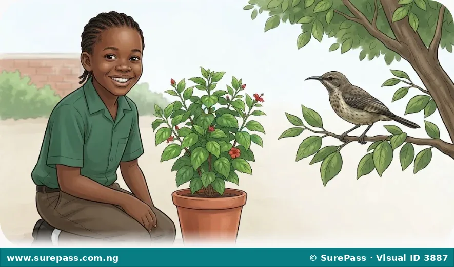 A child, a plant, and a bird, representing living things.