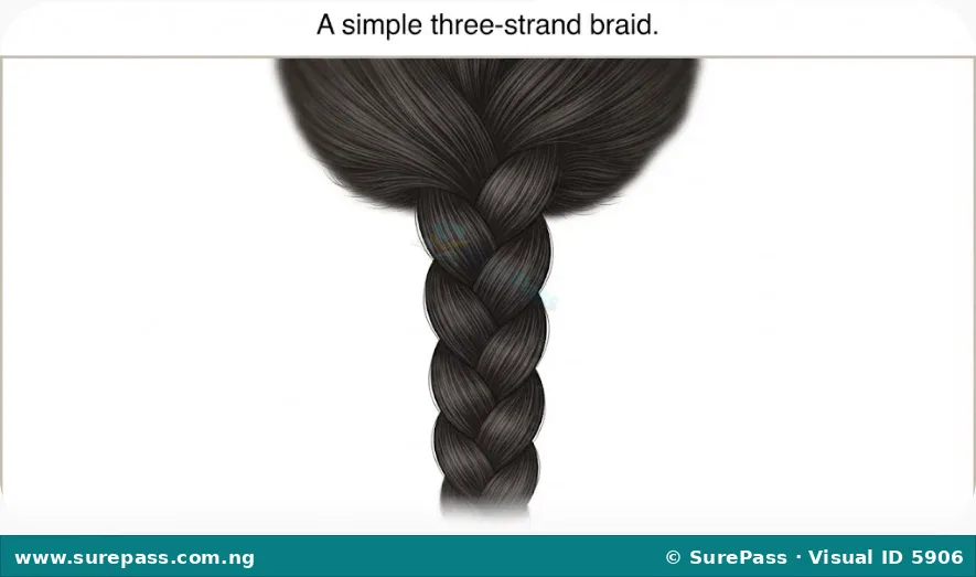 A close-up image of a neatly braided section of hair.
