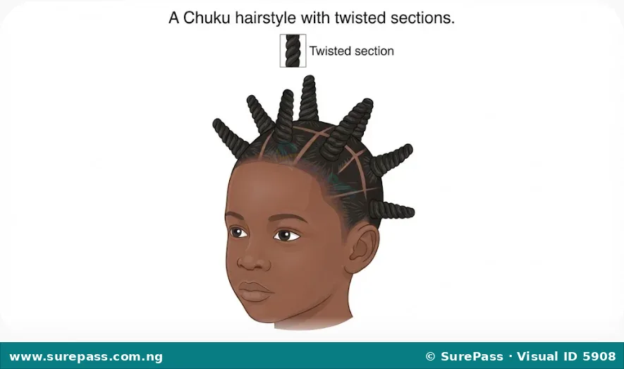 A child's head with a Chuku hairstyle, showing twisted sections of hair rising from the scalp.