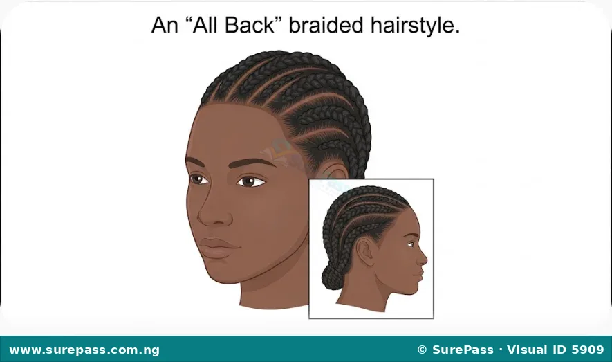 A person's head with an "All Back" hairstyle, featuring several cornrow braids going straight from front to back.