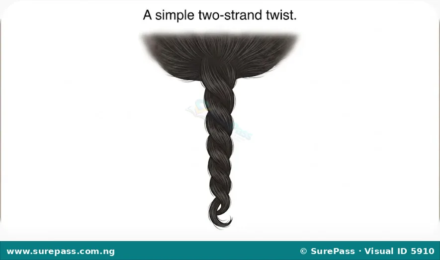 A close-up image of a neatly twisted section of hair using two strands.