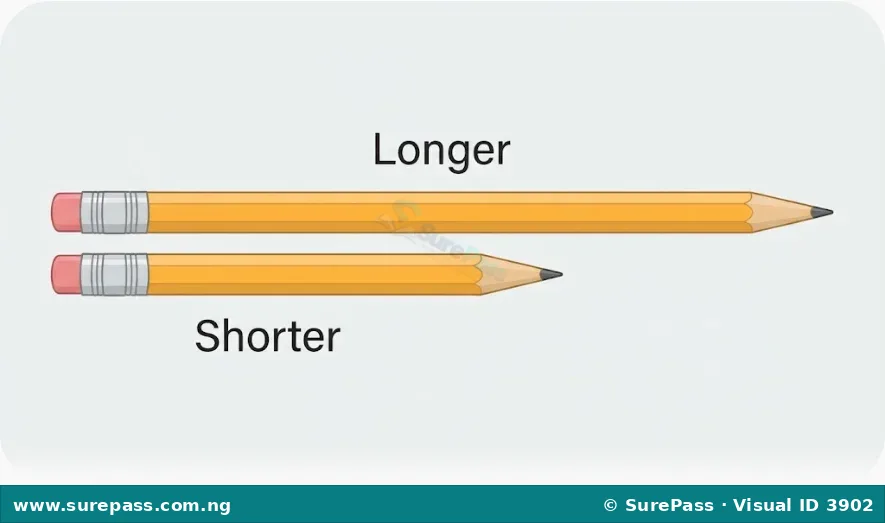 Two pencils, one longer than the other.