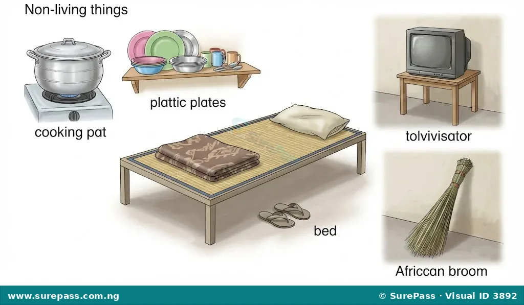 A collection of household items including a pot, plates, cups, spoons, a bed, and a broom.
