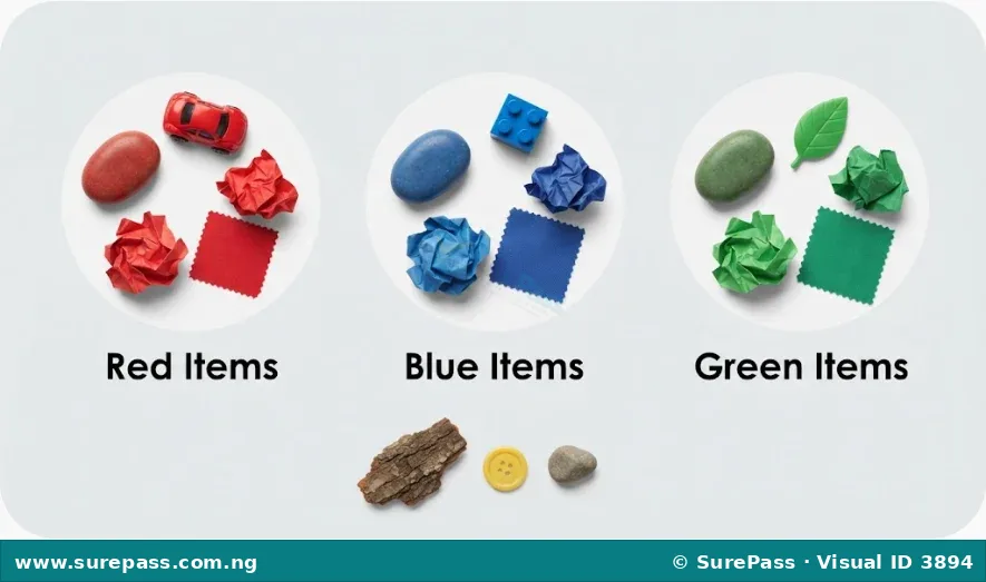 Non-living items like stones, plastic toys, and paper sorted into piles by colour: red, blue, and green.