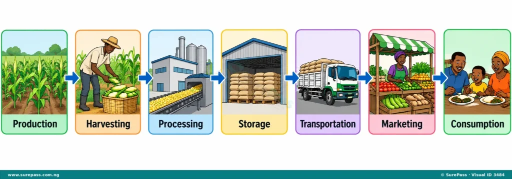 Diagram showing the stages of an agricultural value chain from farm to consumer. Stages include Production, Harvesting, Processing, Storage, Transportation, Marketing, and Consumption.