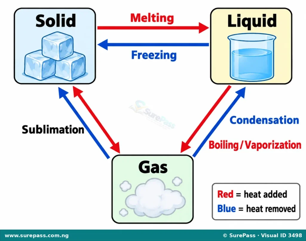 Cycle diagram showing the physical transitions between solid, liquid, and gas states.