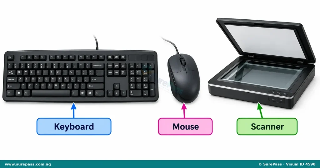 A keyboard, a mouse, and a scanner, which are all input devices.