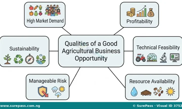 Qualities and Assessment of Good Agricultural Business Opportunities for SS 1