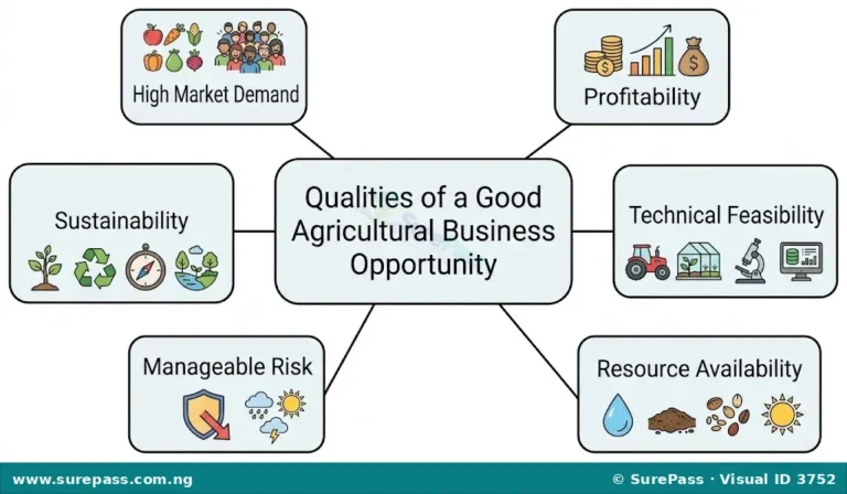 Qualities and Assessment of Good Agricultural Business Opportunities for SS 1