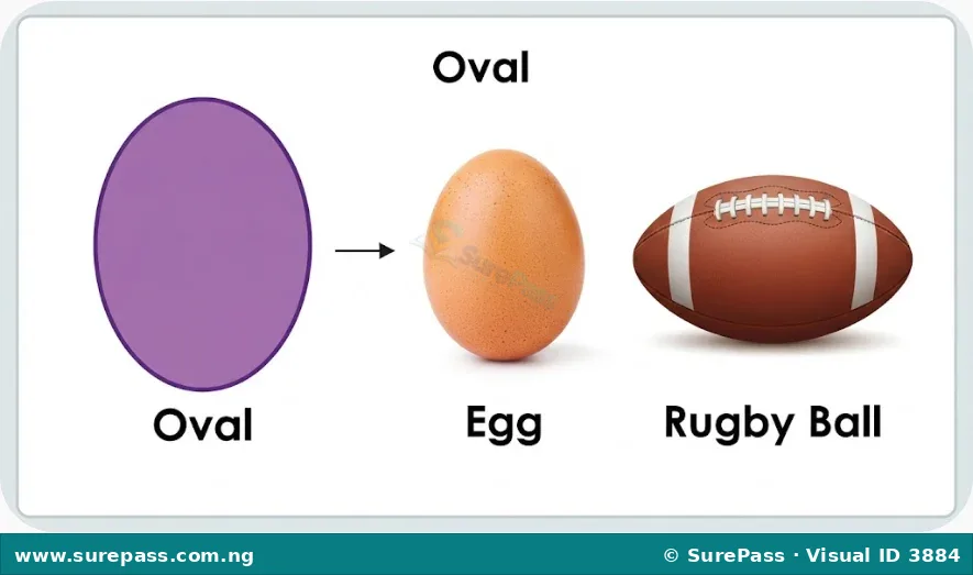 A purple oval next to images of an egg and a rugby ball.