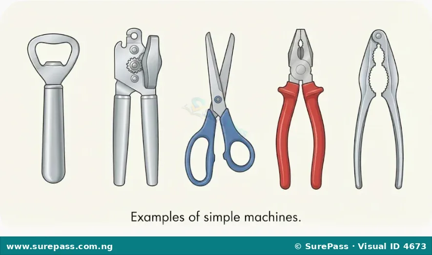 A bottle opener, can opener, scissors, pliers, and nutcracker.