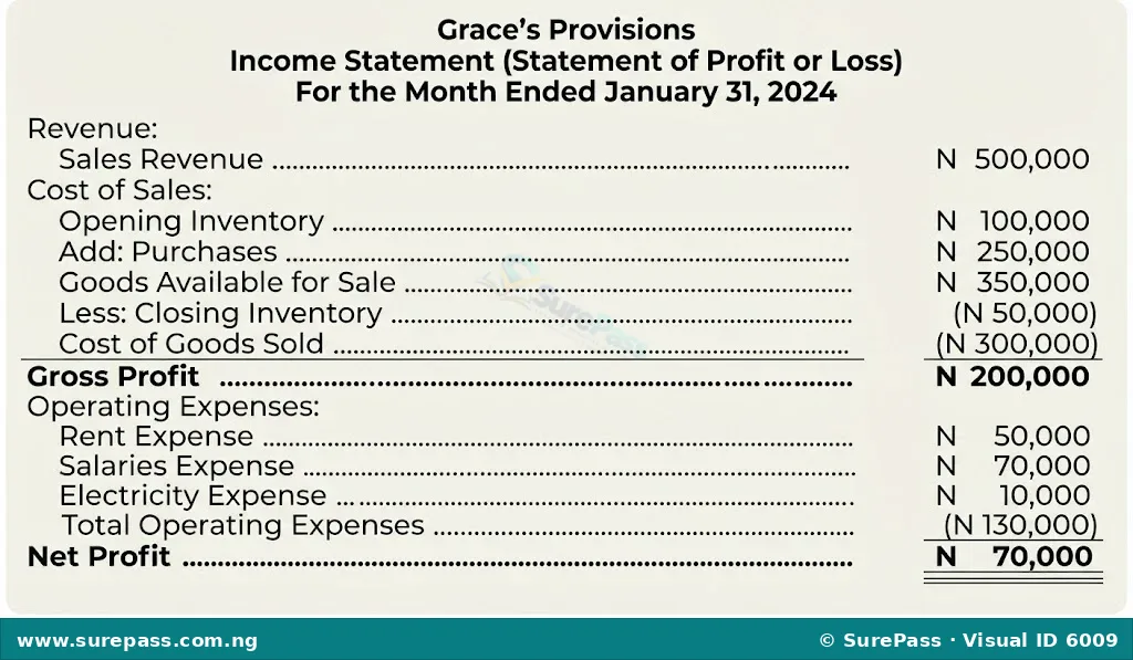 A simple Income Statement showing Sales Revenue, Cost of Goods Sold, Gross Profit, Operating Expenses (Rent, Salaries, Electricity), and Net Profit for Grace's Provisions.