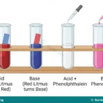 Acids, Bases, Salts, Indicators and pH for SS 1